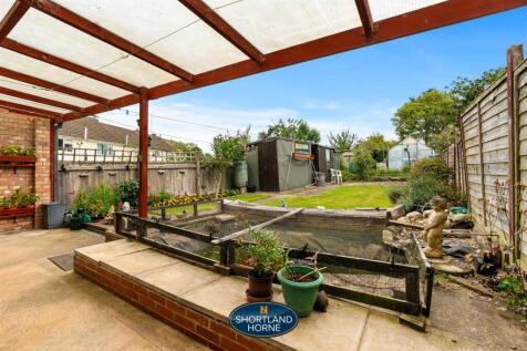 Back Garden