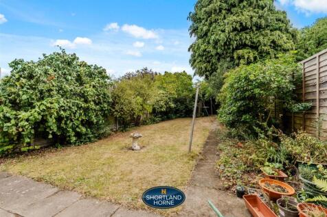 Back Garden