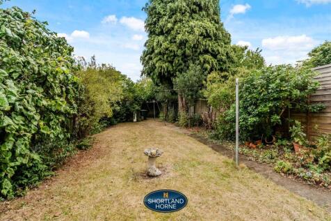 Back Garden