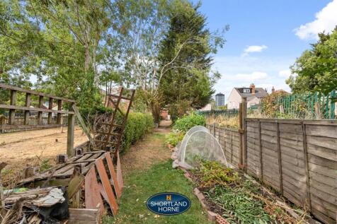 Back Garden
