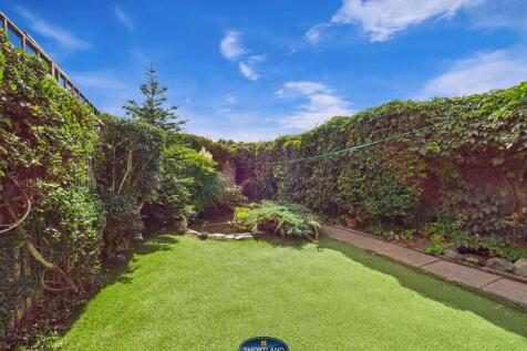 Back Garden