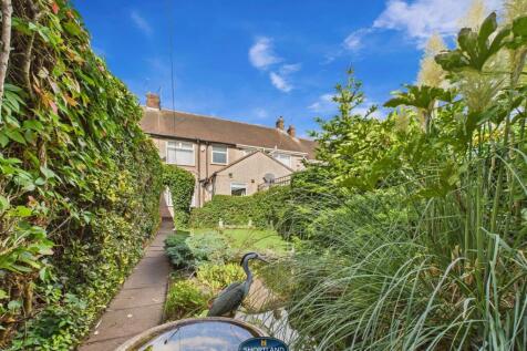 Back Garden