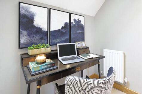 Study Area
