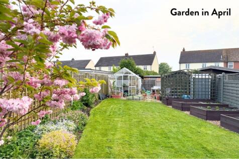Mature Garden