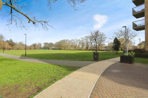 The Park