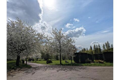 Nearby Park