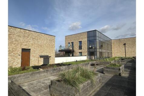 Roof Terrace