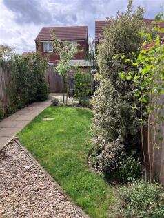 Garden 2.jpg