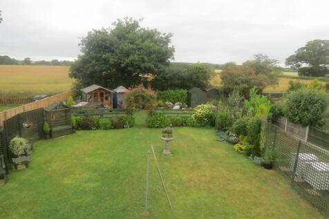 Garden 5.jpg