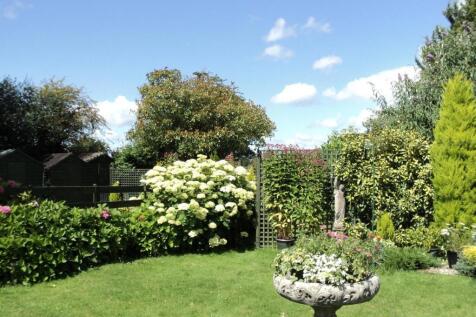 Garden 4.jpg
