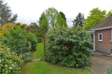 DSC_2175.JPG