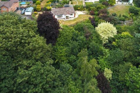 DJI_0008.JPG