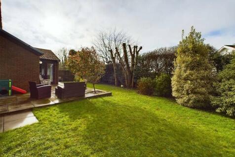 Rear Garden 2