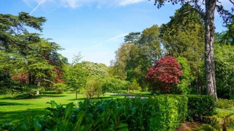 Property Image 30