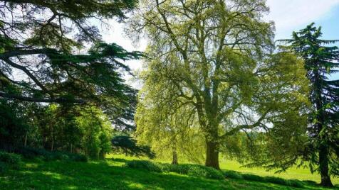 Property Image 31