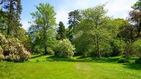 Property Image 38