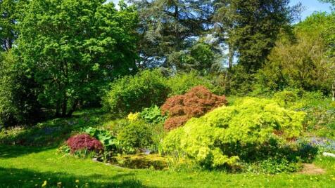 Property Image 39