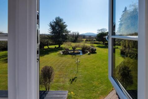 View From Bedroom