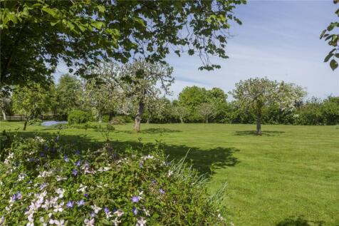 Orchard