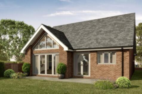 Rear Cgi