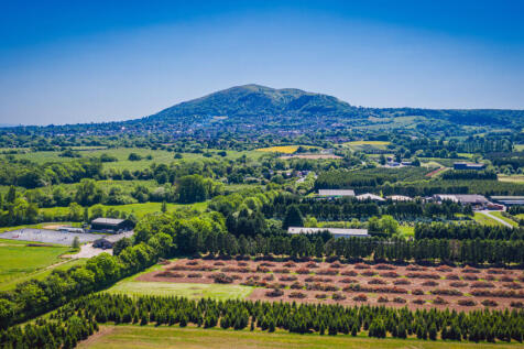 View From Local Area