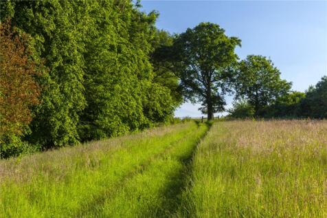 Pastureland