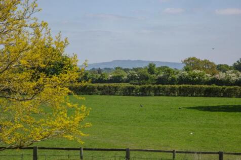 Pasture Land