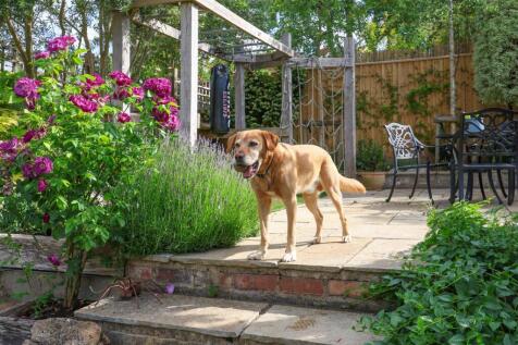 Property Image 37