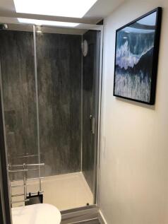 shower room april 2021.JPG