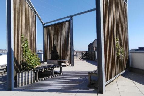 Roof Terrace.jpeg