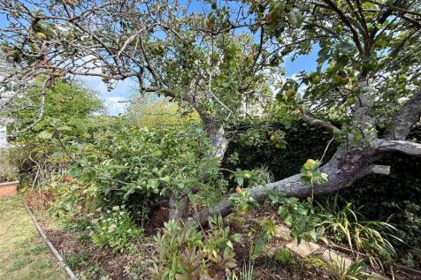 Rear Garden 2.jpg