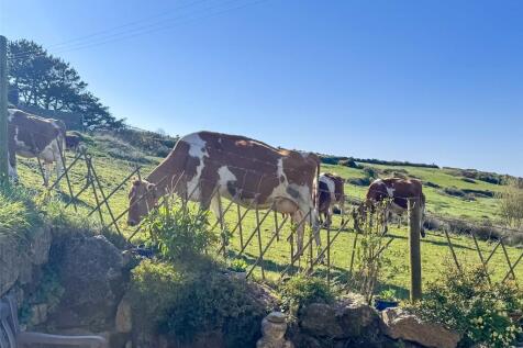 Neighbours