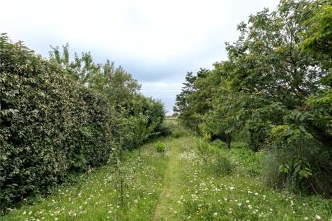 Orchard