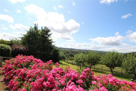 Garden &amp; Views