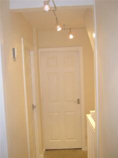 Picture 12
