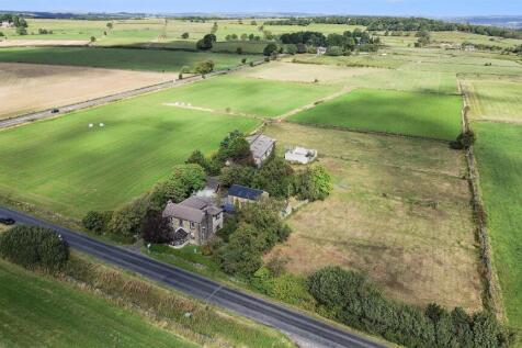 DJI_0517_1.jpg