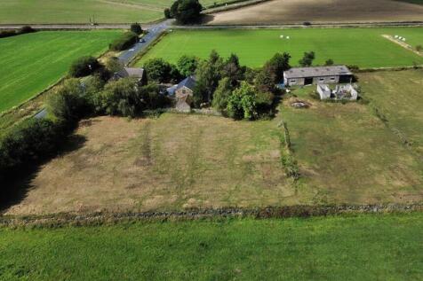 DJI_0538.jpg