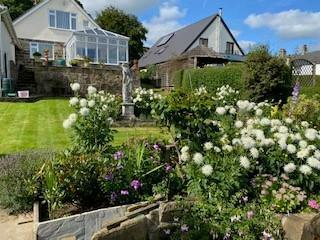 July Garden Five.jpg