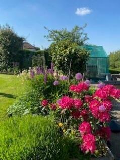 End May Garden.jpg