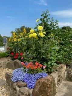 July Garden Two.jpg