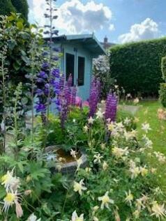 End May Garden Five.jpg