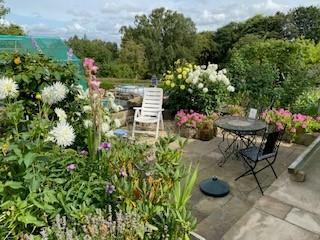 July Garden Four.jpg