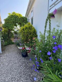 Garden Eleven.jpg