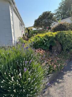 Garden Twelve.jpg