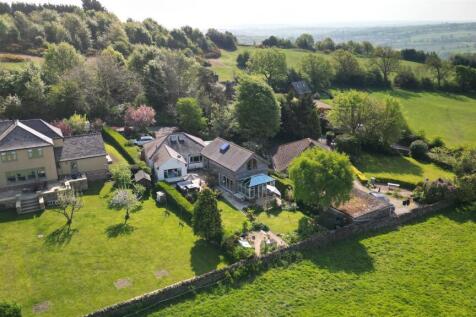 DJI_0206.JPG