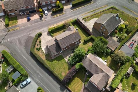 DJI_0380.JPG