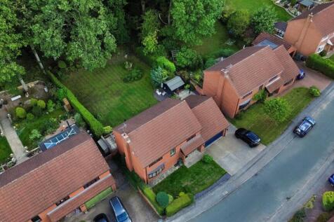 DJI_0555.jpg