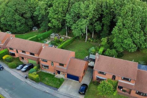 DJI_0561.jpg