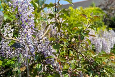 Property Image 30