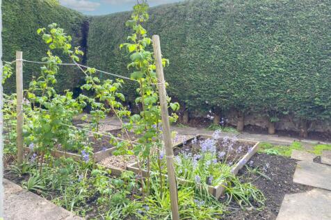 Vegatable garden